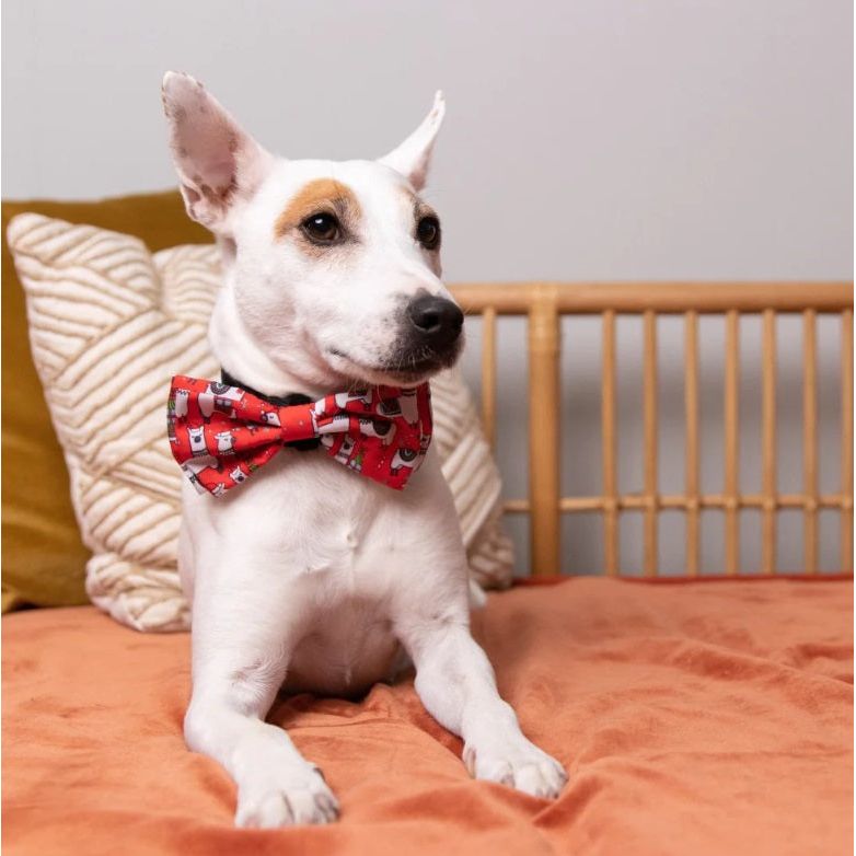 Huxley &amp; Kent - Merry Llama Bow Tie