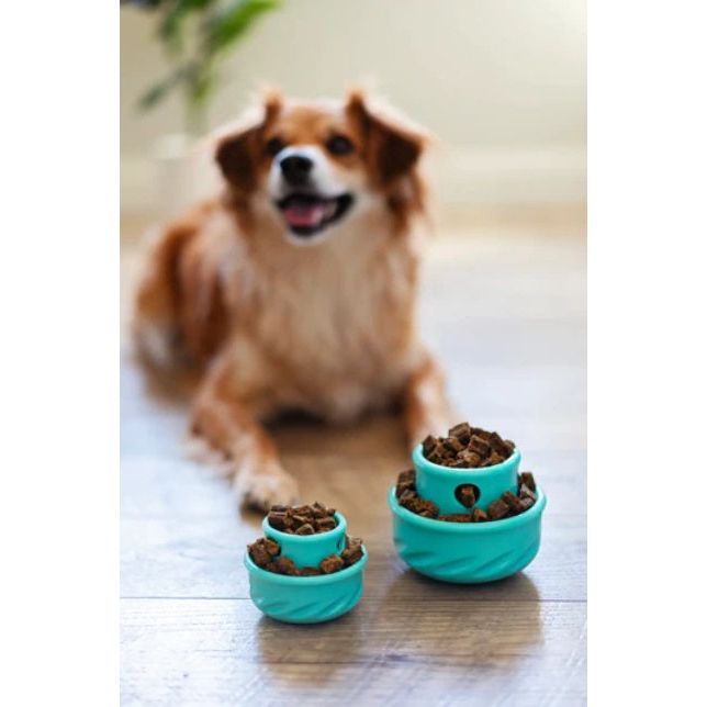 Messy Mutts Totally Pooched - Small Puzzle &#39;n Play Mushroom Dog Toy