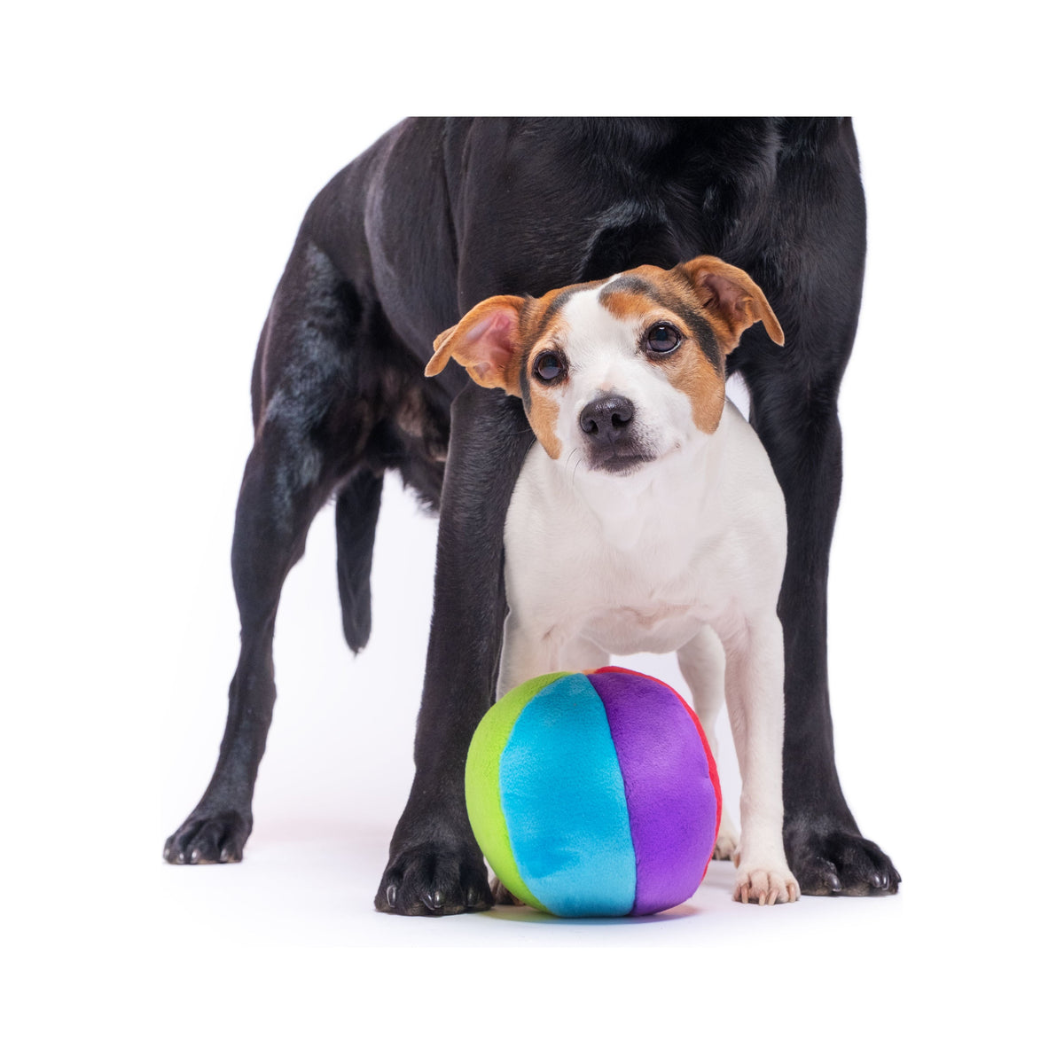 Fluff &amp; Tuff - Mini Beach Ball
