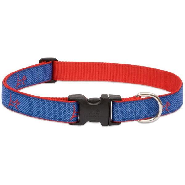 LupinePet Club Collar - Newport Blue