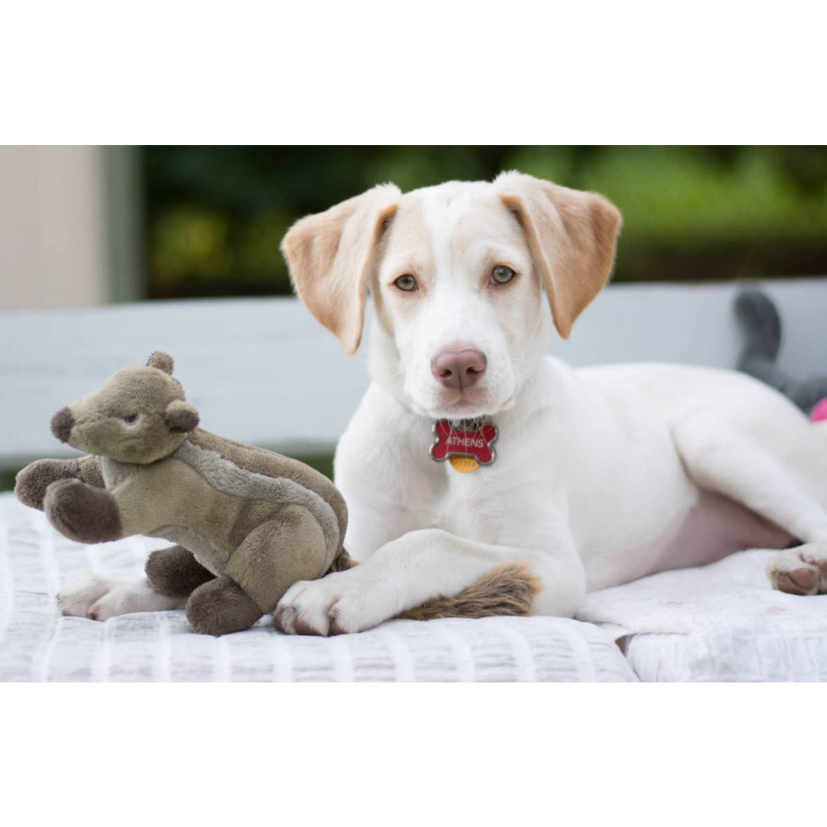 Fluff &amp; Tuff  - Peanut Chipmunk