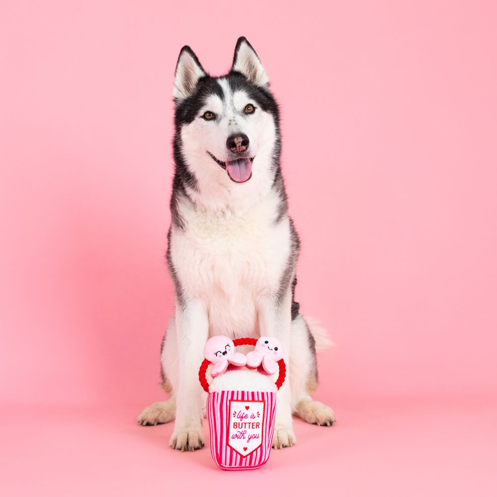 PetShop by Fringe Studios - My Heart Pops for You