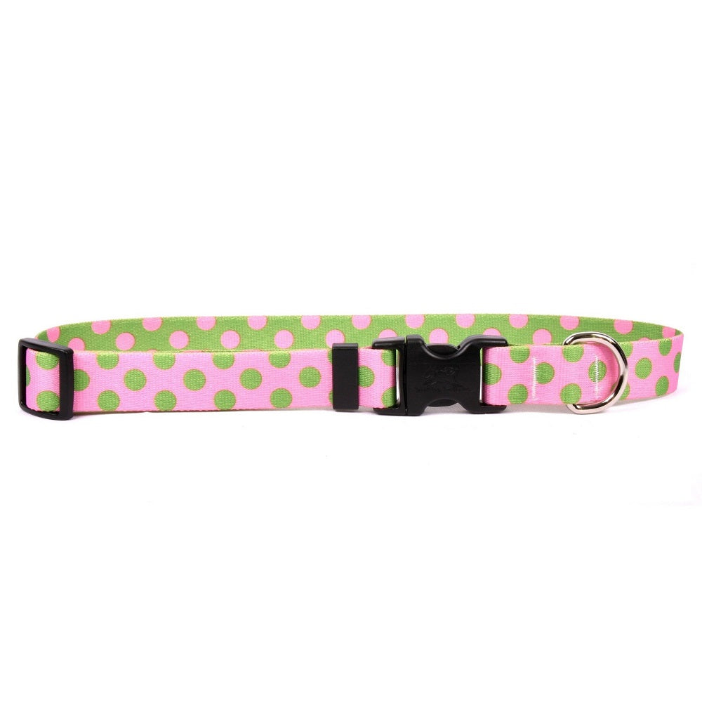 Yellow Dog Design - Pink & Green Polka Dot Collar
