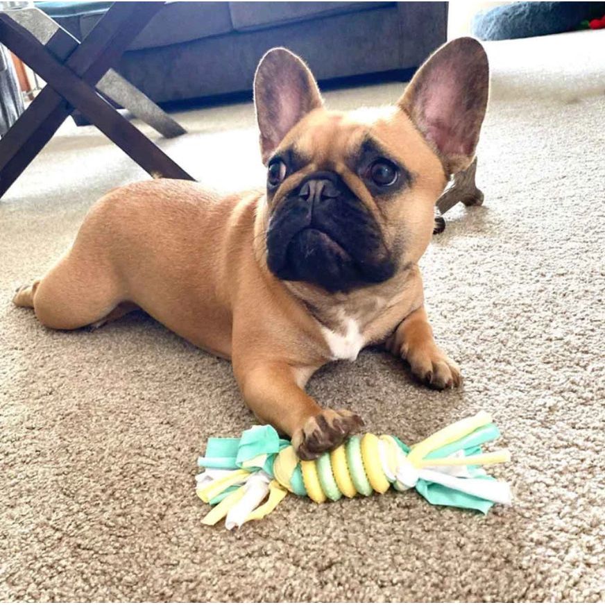 SmartPetLove Puppy&#39;s 1st Toys - Ring Toys