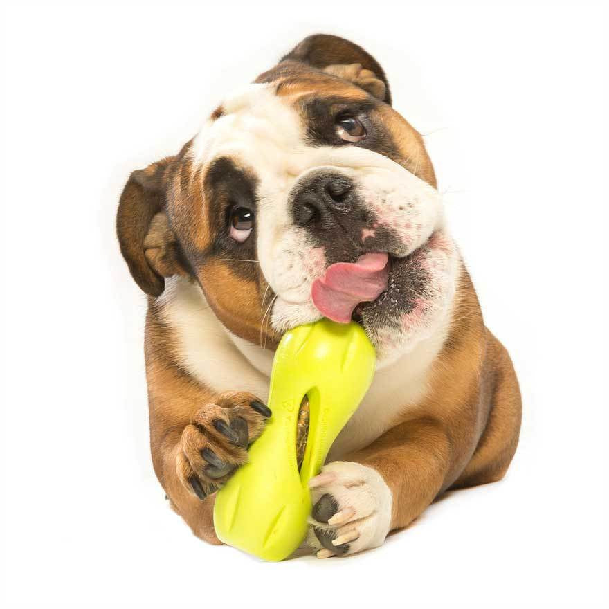 West Paw - Zogoflex Qwizl