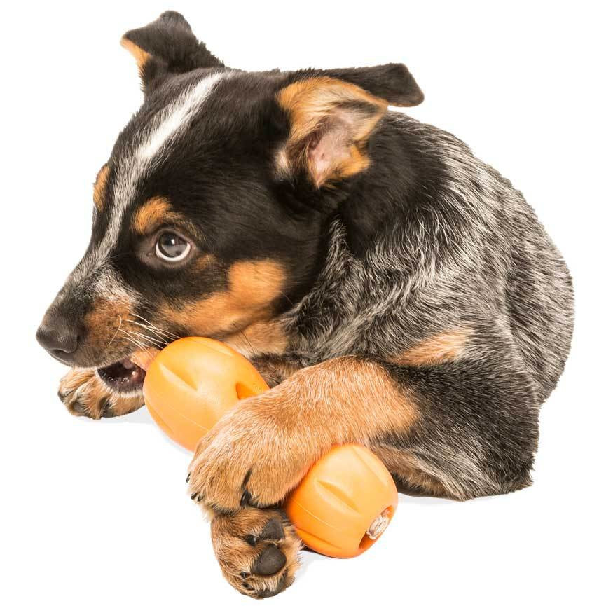 West Paw - Zogoflex Qwizl