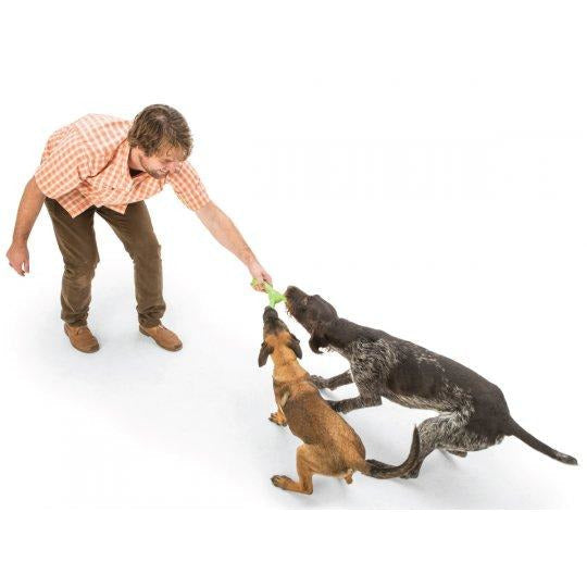 West Paw - Zogoflex Skamp