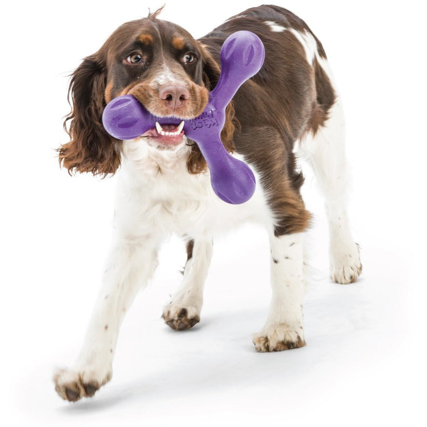 West Paw - Zogoflex Skamp