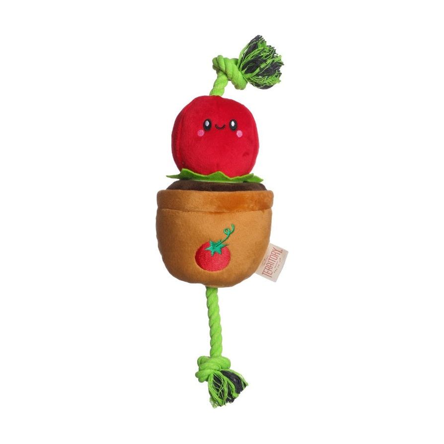 Territory - Tomato Treat and Tug Toy
