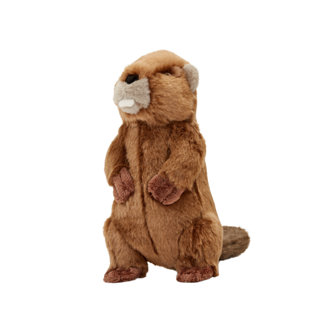 Fluff &amp; Tuff - Troy Beaver