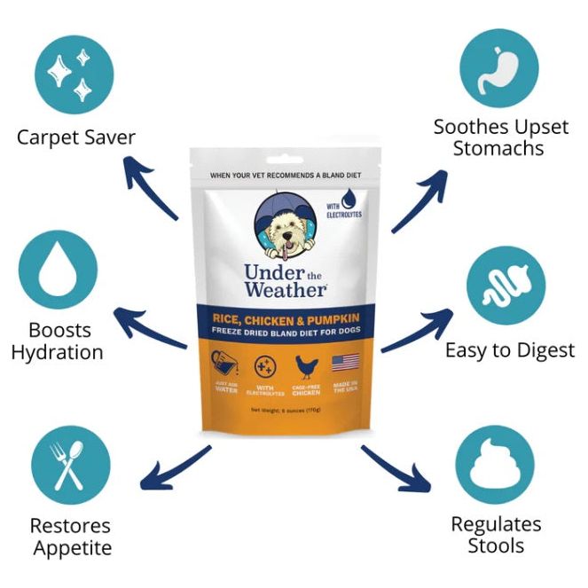 Under the Weather - Rice, Chicken &amp; Pumpkin