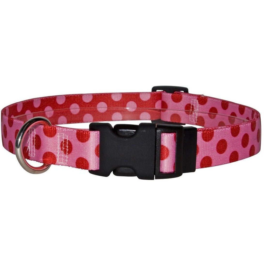 Yellow Dog Design - Valentine Polka Dot Collar