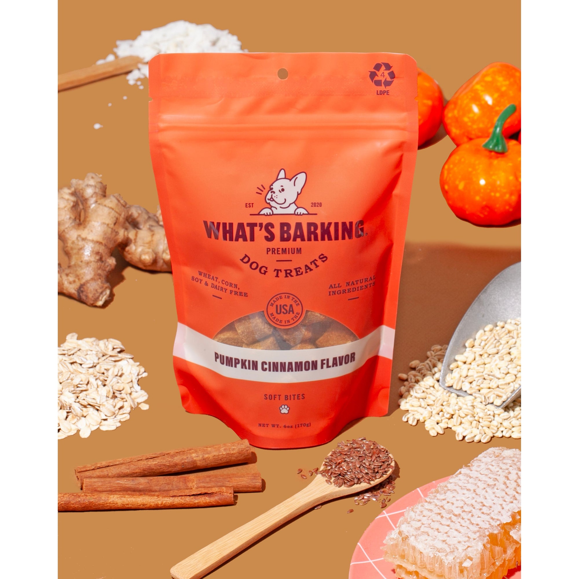 What's Barking - Pumpkin Cinnamon Dog Treats