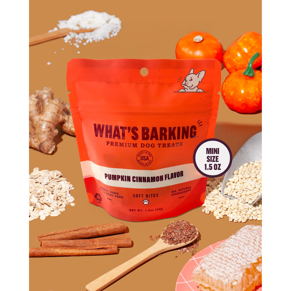What&#39;s Barking - Pumpkin Cinnamon Dog Treats