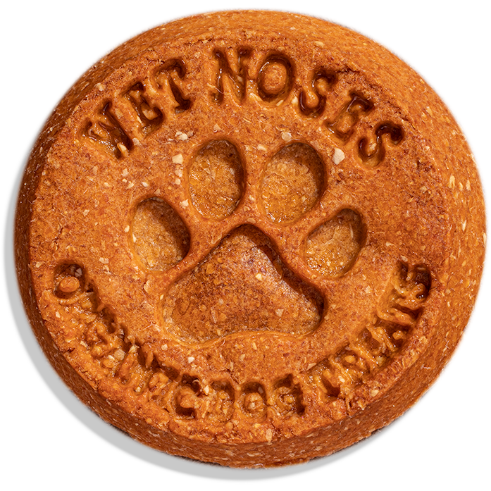 Wet Noses - Grain Free Hemp Seed &amp; Banana Treats 14oz