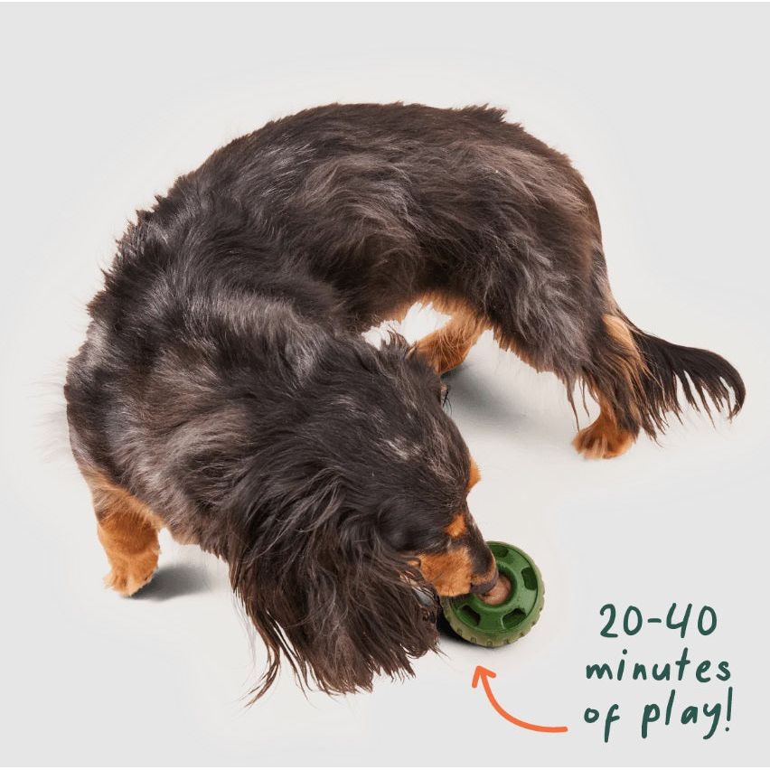 WOOF - Calming Pupsicle Pops, Beef and Peanut Butter