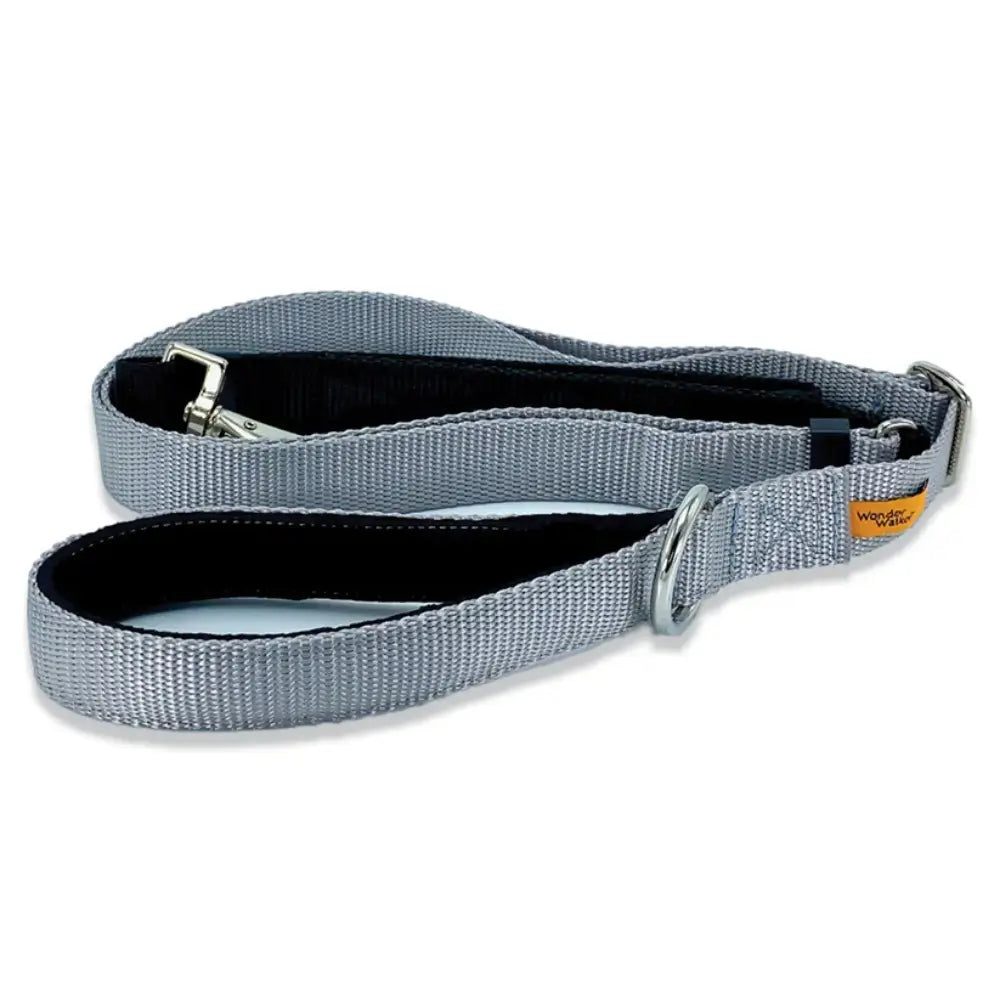Wonder Walker Service Leash in Silver