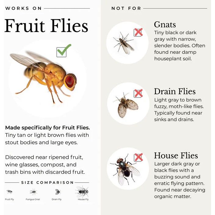 Wondercide Fruit Fly Trap for Home + Kitchen
