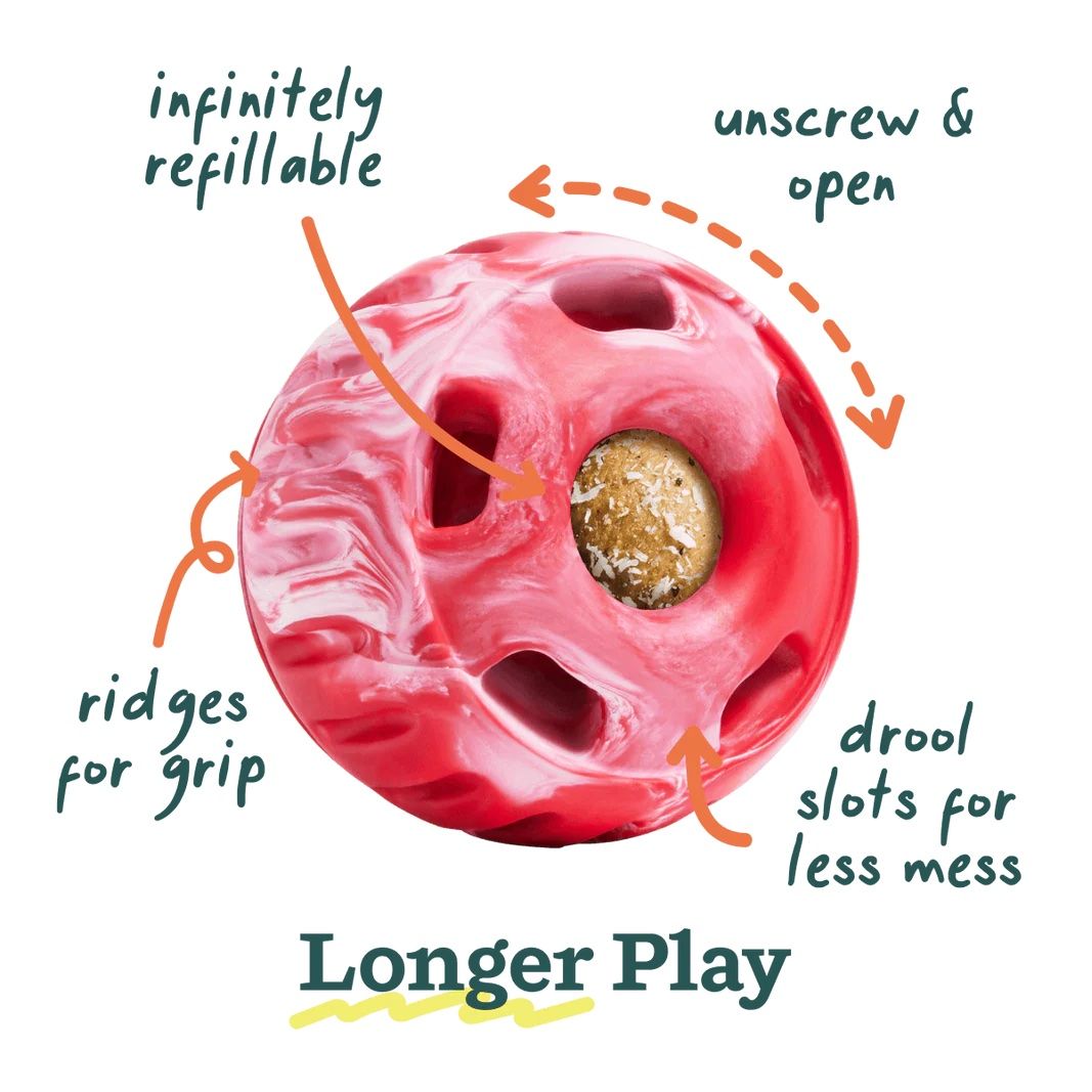 WOOF - The Pupsicle Limited Edition Candy Cane