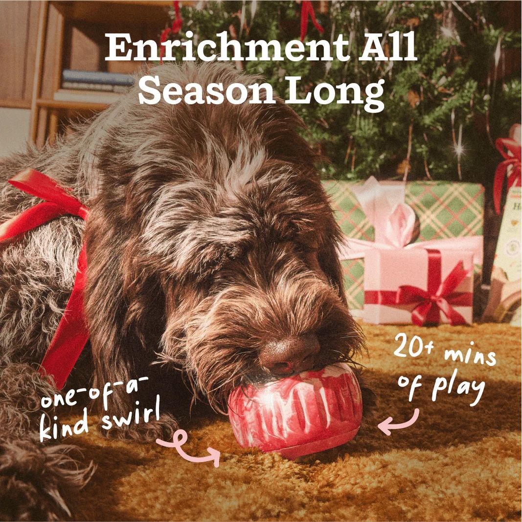 WOOF - Pupsicle Jingle Pops, Peanut Butter & Beef