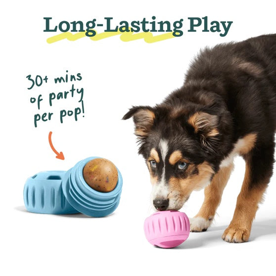 WOOF - The Birthday Pupsicle