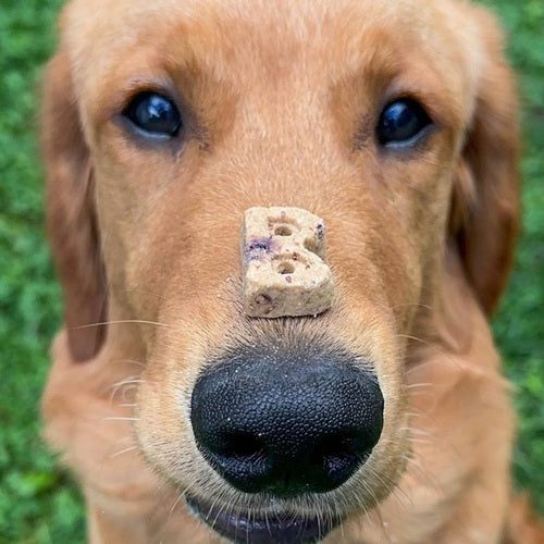 Bocce's Bakery - Berries & Cream Dog Treats