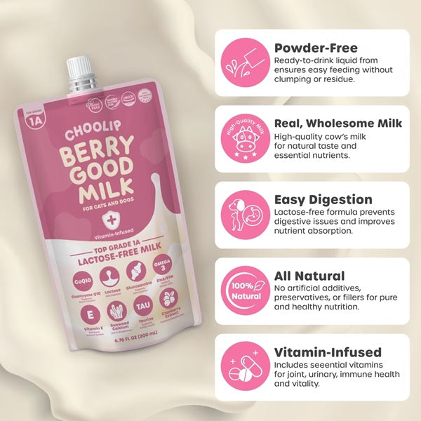 Choolip - Berry Good Milk - Vitamin Infused Lactose-Free Milk