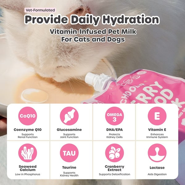 Choolip - Berry Good Milk - Vitamin Infused Lactose-Free Milk