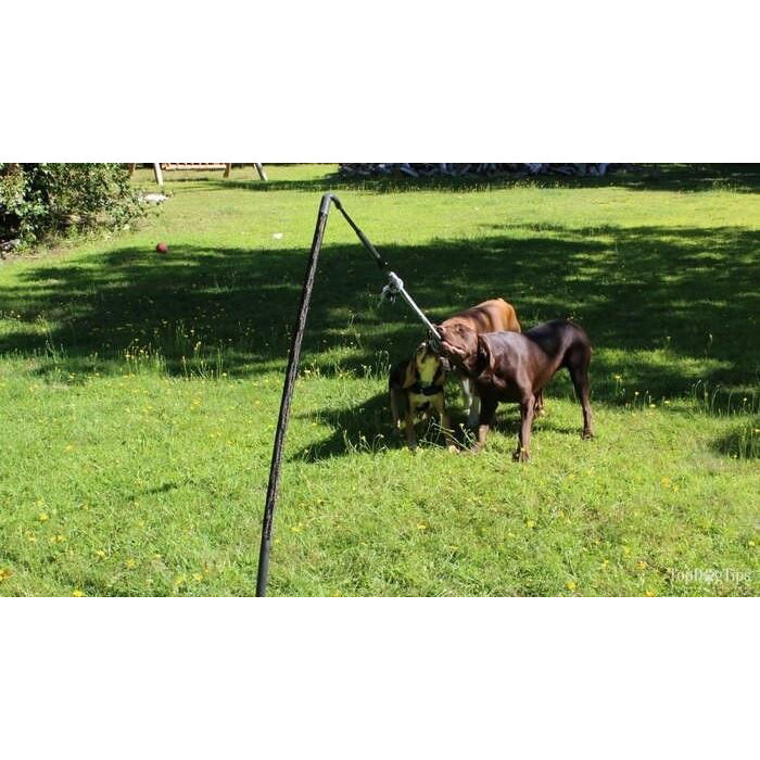 Tether Tug - Big Tether Tug (For 70+ pound dogs)