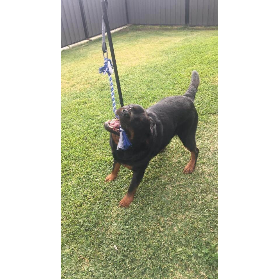 Tether Tug - Big Tether Tug (For 70+ pound dogs)