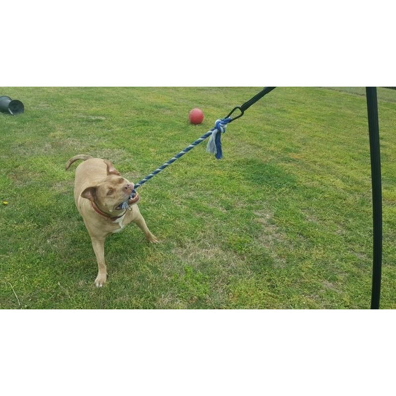 Tether Tug - Big Tether Tug (For 70+ pound dogs)