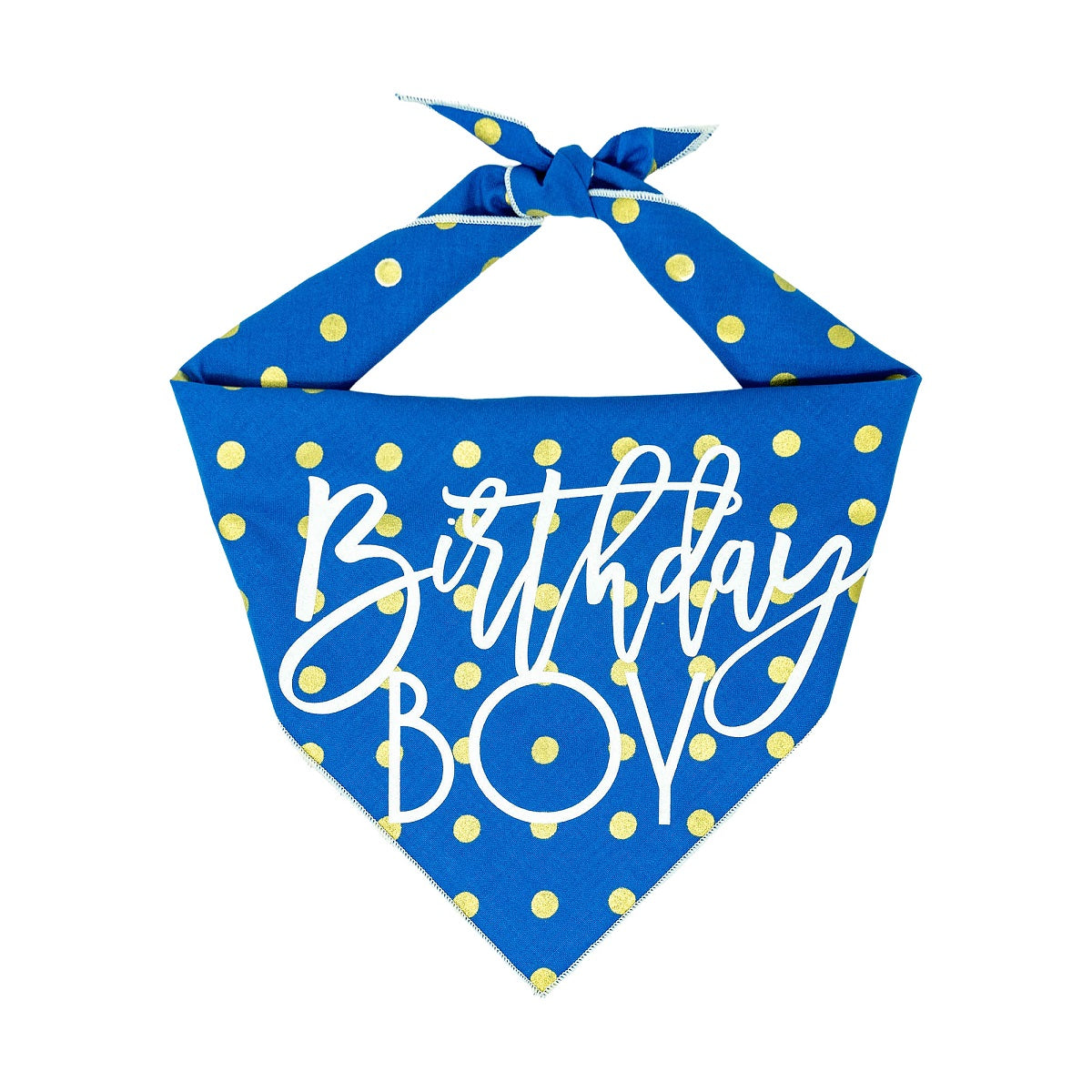 Paisley Paw Designs - Birthday Dog Bandana