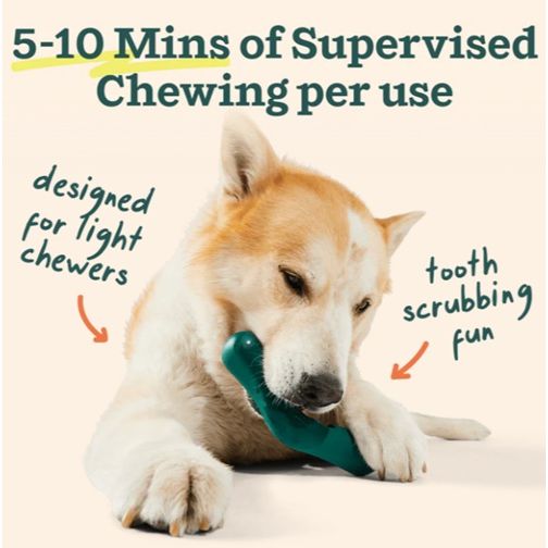 WOOF - The Bite n' Brush