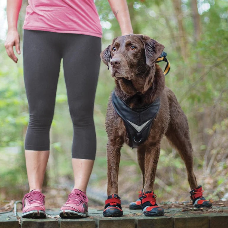 Kurgo - Blaze Dog Shoes 4-Pack