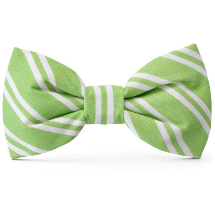The Foggy Dog - Sprout Stripe Bow Tie