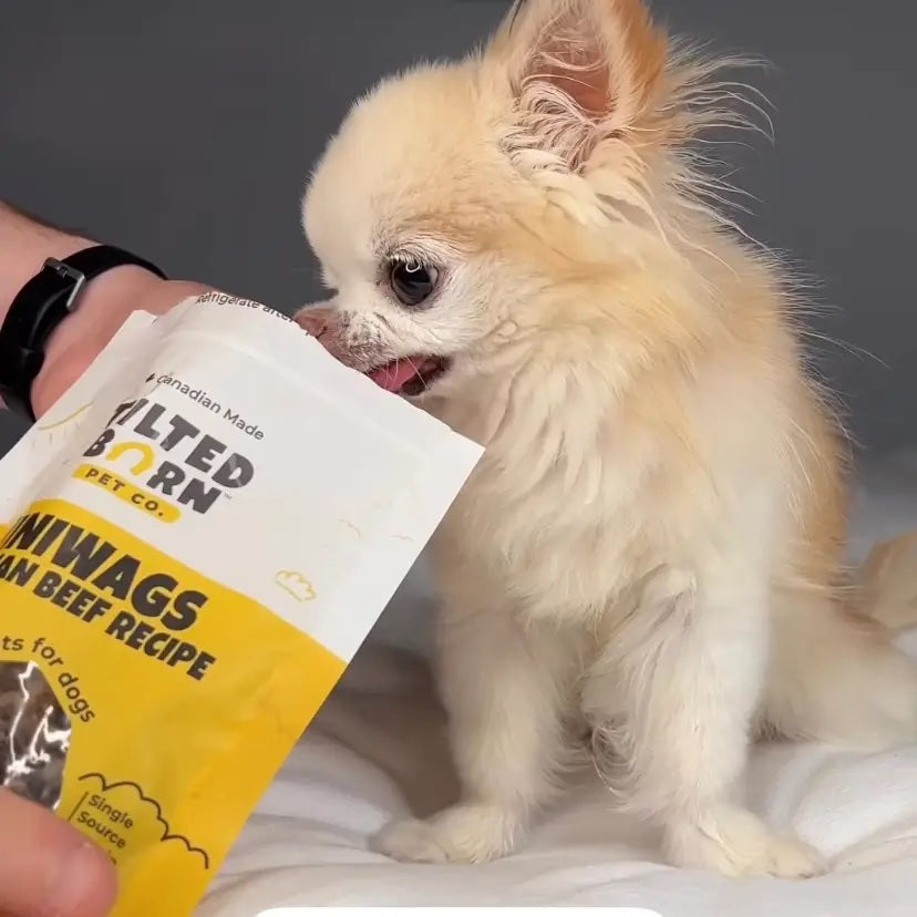 Tilted Barn Mini Wags - Beef