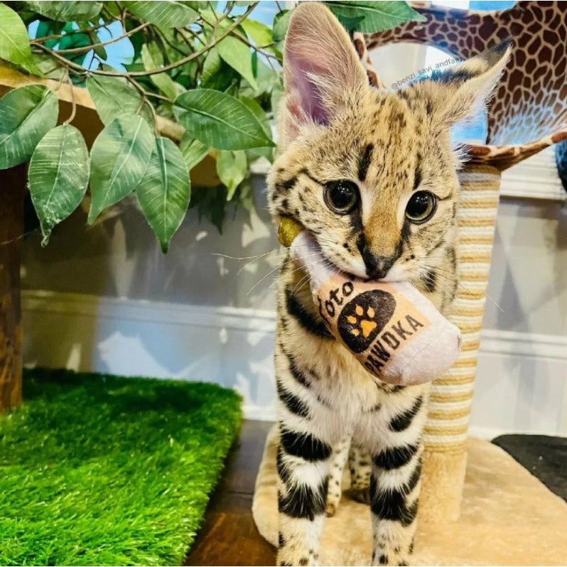 Kittybelles - Toto's Pawdka