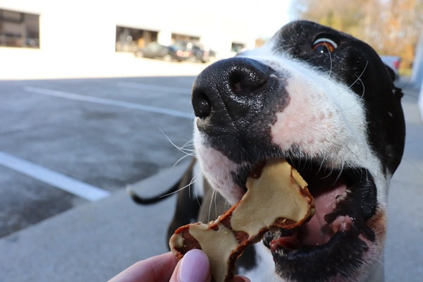 Gaines Family Farmstead - Sweet Potato Cheese Drizzled Bones - Dog Treats
