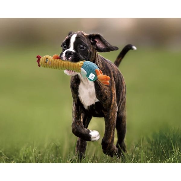 Nocciola - Chicken Lives Twice 3-in-1 Squeaky Dog Toy