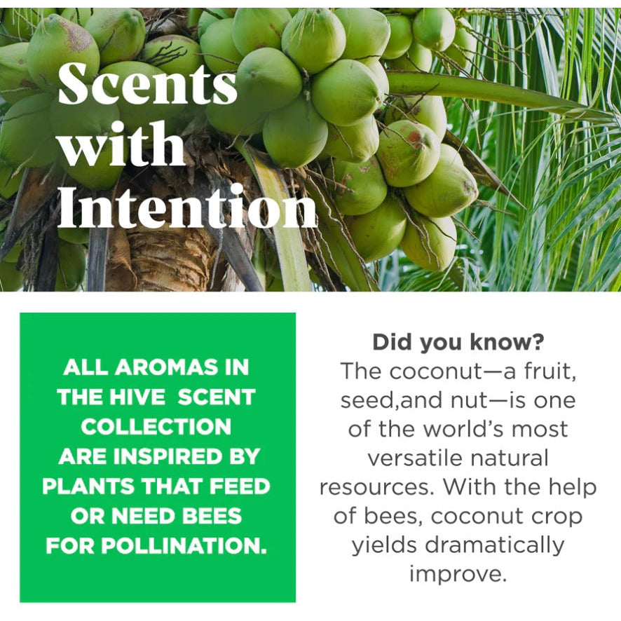 Project Hive - Hive Disc &amp; Lick Mat