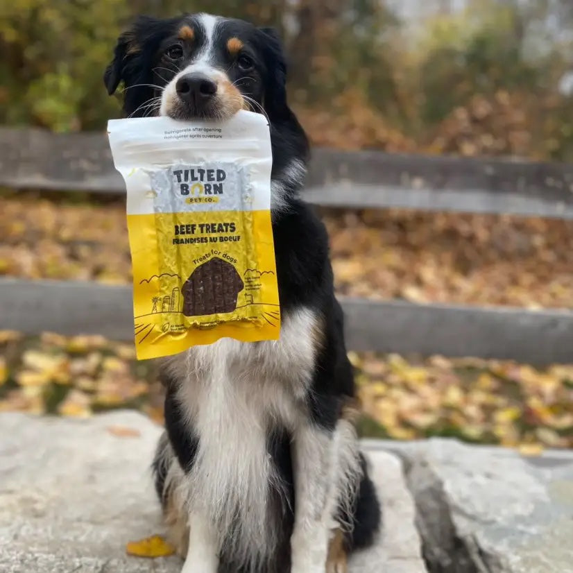 Tilted Barn - Canadian Beef Treats