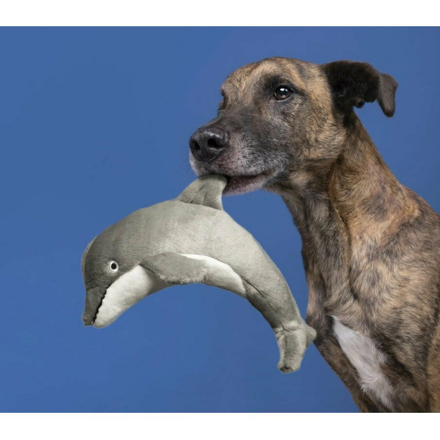 Fluff & Tuff - Danny Dolphin - Dog Toy | King Duke's, Beaverton