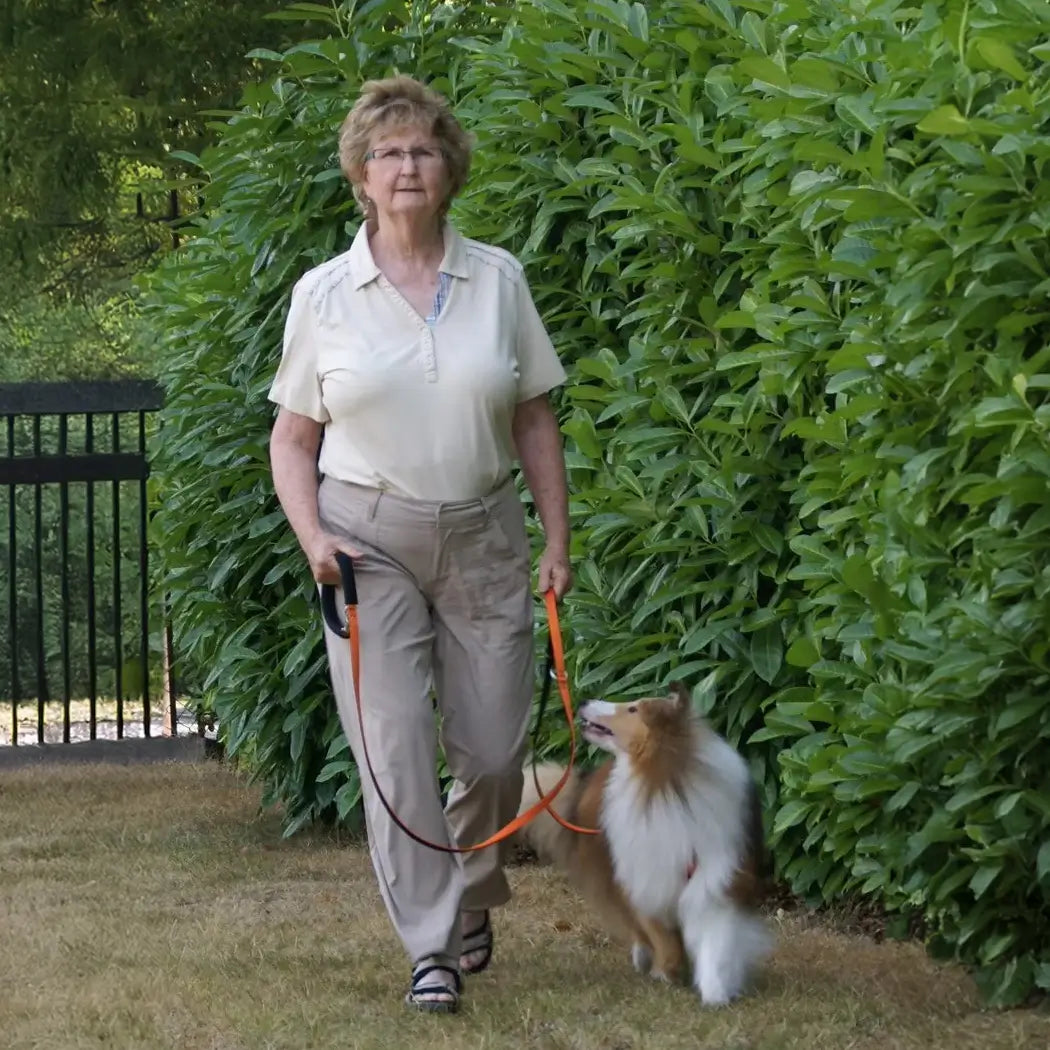 Dolan&#39;s Dog Doodads - The Cruiser Leash