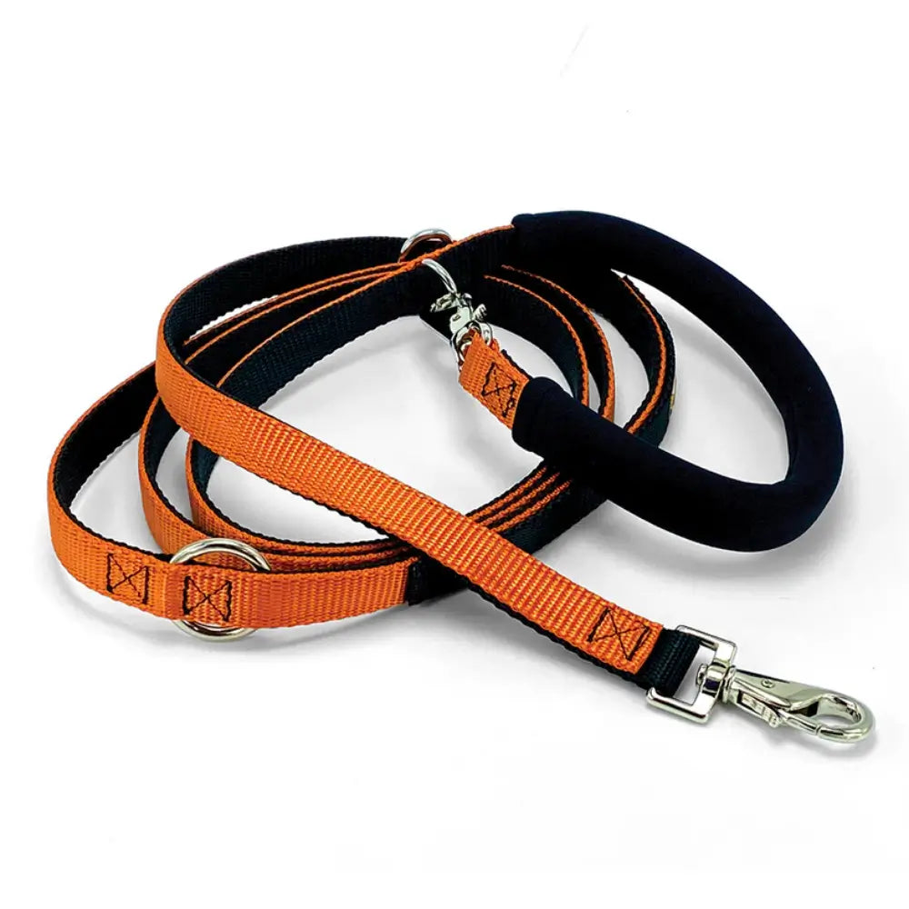 Dolan&#39;s Dog Doodads - The Cruiser Leash
