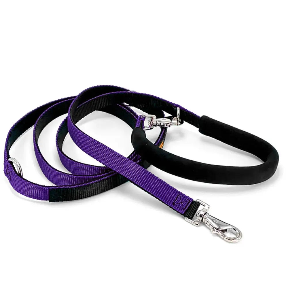 Dolan&#39;s Dog Doodads - The Cruiser Leash
