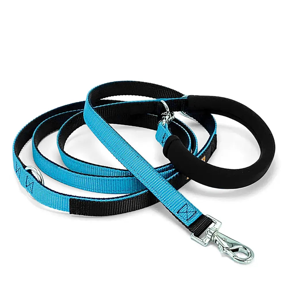 Dolan&#39;s Dog Doodads - The Cruiser Leash