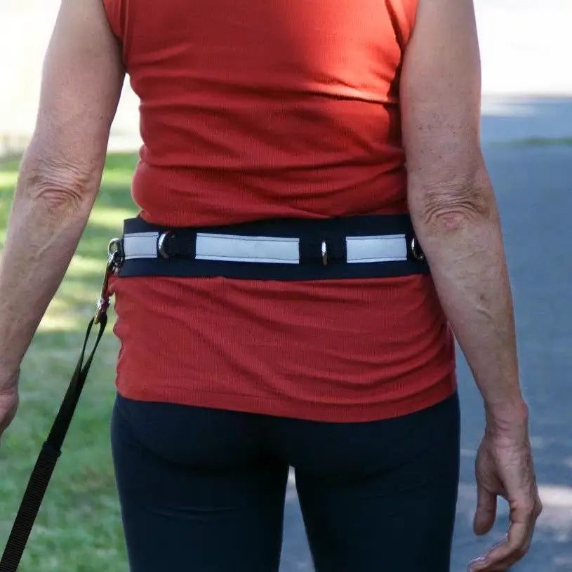 Dolan&#39;s Dog Doodads - Hands Free Walking/Jogging Belt
