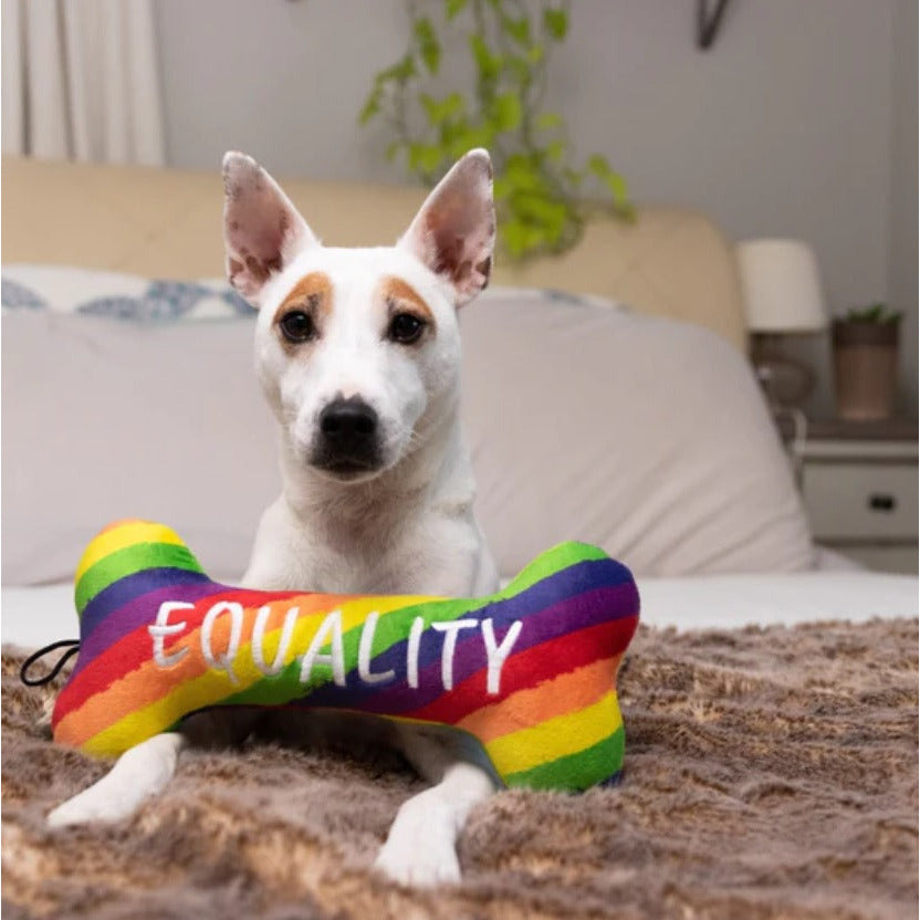Lulubelles - Pride Equality Bone