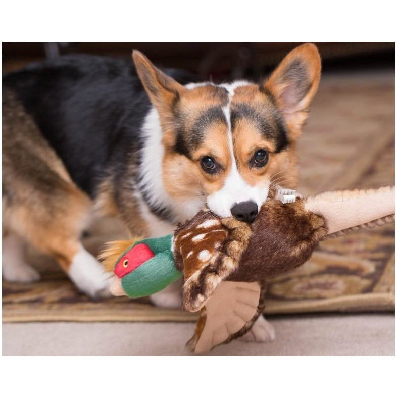 Fluff &amp; Tuff - Ike the Pheasant