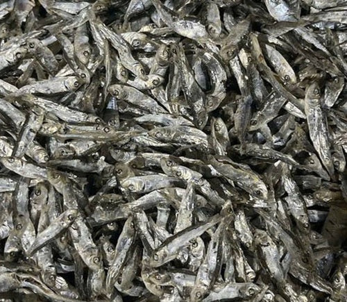 Tickled Pet Cat Treats - Feline Fins Sardines, 2.5 oz